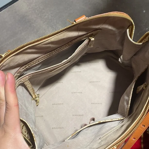 Brahmin - Picture 7 of 10